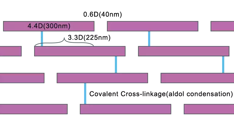 Quaternary Structure of collagen